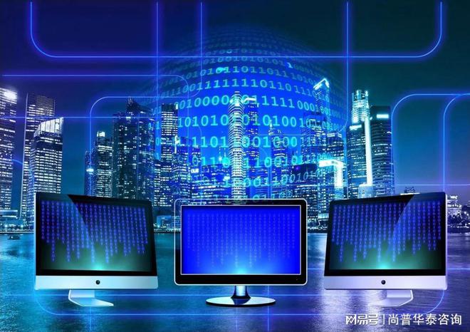 2021年中國軟件和信息技術(shù)服務(wù)業(yè)市場(chǎng)分析 信息系統(tǒng)技術(shù)服務(wù)篇